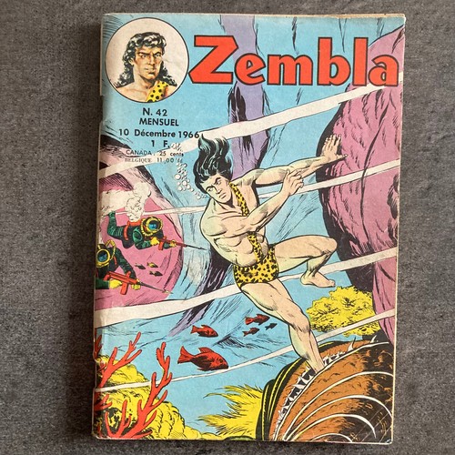 Zembla lug 1967 be - n°, 42