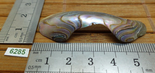 Nacre abalone pétale - nacre,