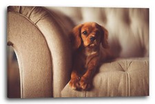 Toile/Cadres Petite chaise à