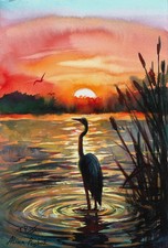 coucher de soleil avec héron