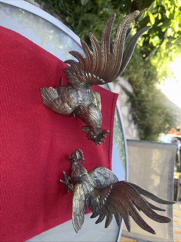 Couple coqs combat en - couple, de