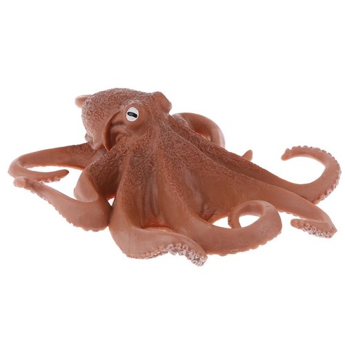 Simulation modèle animal - simulation,