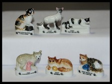 FÈVES BRILLANTE - 6 CHATS DE