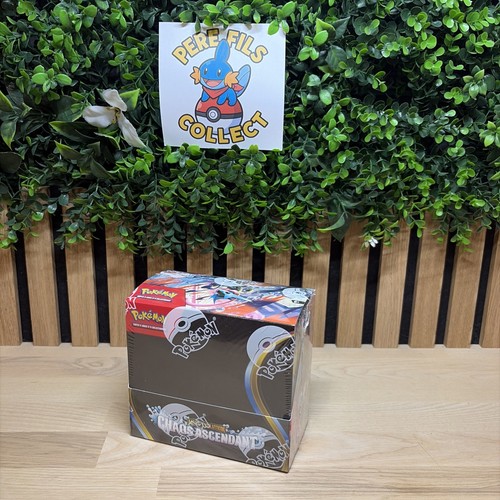 Pokémon display 36 - display,