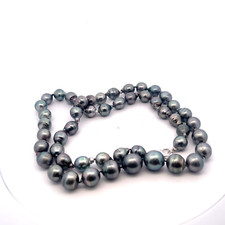 Neuf 11-14mm de Culture Tahiti