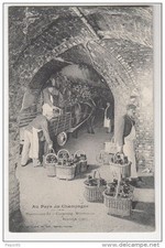51 Au pays du CHAMPAGNE