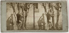 Animal empaillé Taxidermie c1865 Photo Stereo Vintage Albumine 