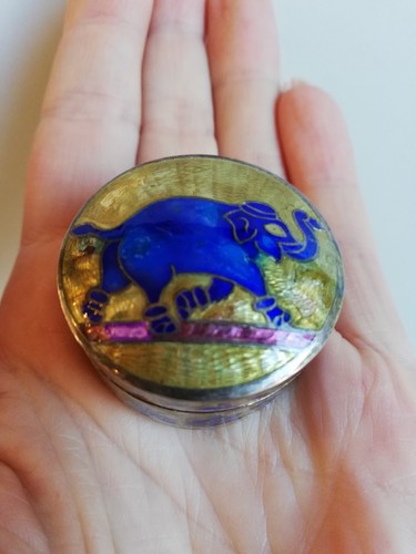 Boîte pilule argent et - pilule, en