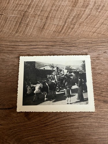 Photo ancienne attelage n94 - photo,