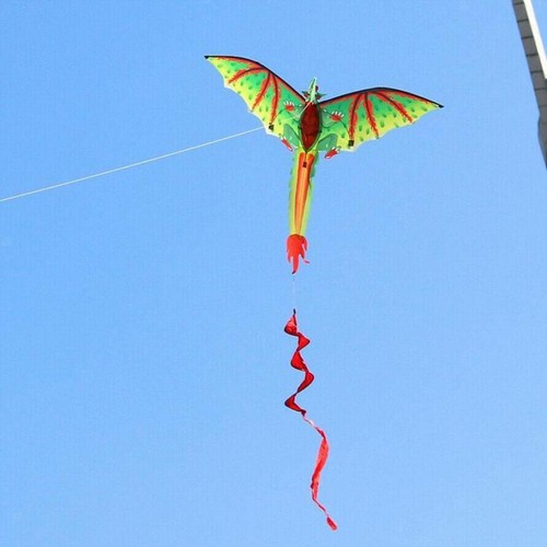 Cerf volant dinosaure - cerf-volant,