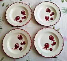 SALINS LES BAINS CHARBONNIER  lot 4 Assiettes anciennes, creuses, modèle Mistral