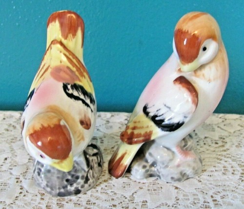 Pair pink bird - of, salt