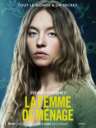 Femme menage affiche - de,