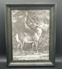 Gravure décorative d’après Ridinger cerf forêt chasse XXème encadrée