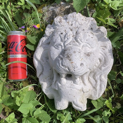 Ancienne tete lion pour - tete,