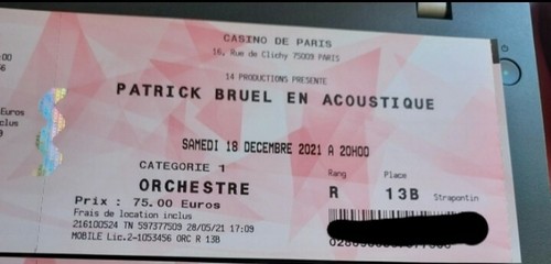 Place concert patrick bruel - place,