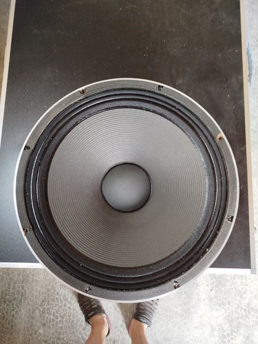 Haut parleur woofer basse - 1,