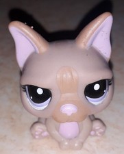 Petshop chien bouledogue 1896