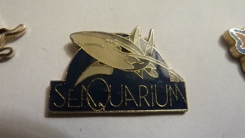 Pin poissons requin - , pin's