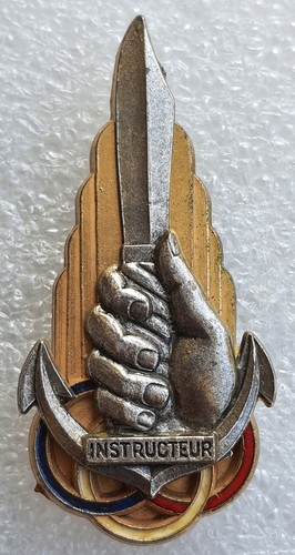 Insigne brevet instructeur - insigne,