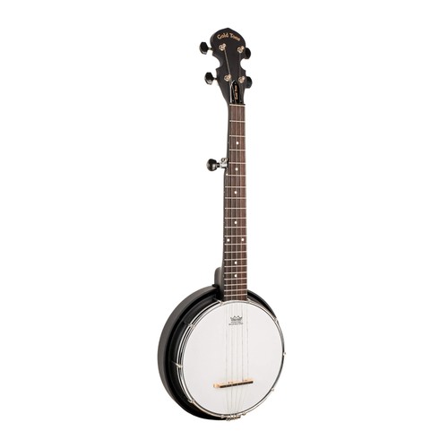 Gold tone mini acoustic - tone,
