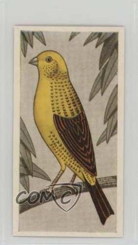 1960 barratt cage aviary - cage, &