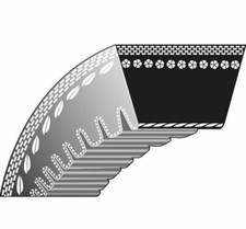 Courroie Dentée Tondeuse À