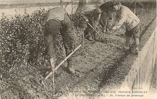 CPA CENTRE DE READAPTATION AUX TRAVAUX AGRICOLES