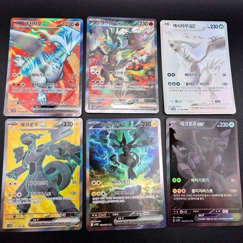 Reshiram zekrom ex - ex, korean