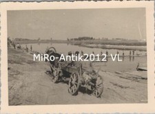 Photo, chevaux de Panjep avec