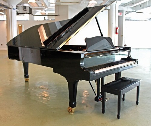 Young chang 275 polished - young,