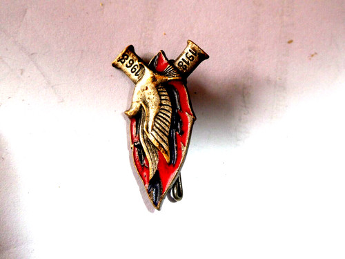 Insigne commemoration - insigne,