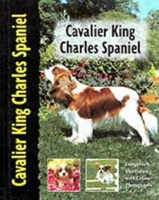 Cavalier king charles - cavalier,