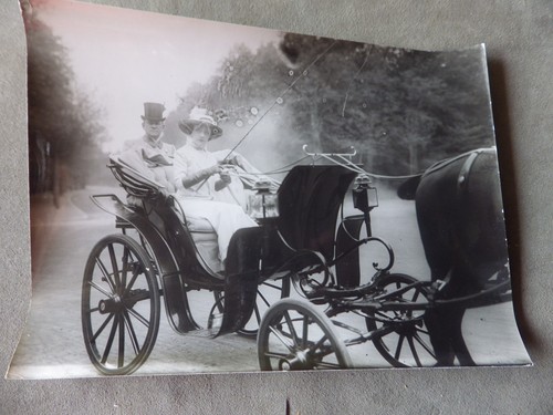 Photo chevaux l - chevaux, a