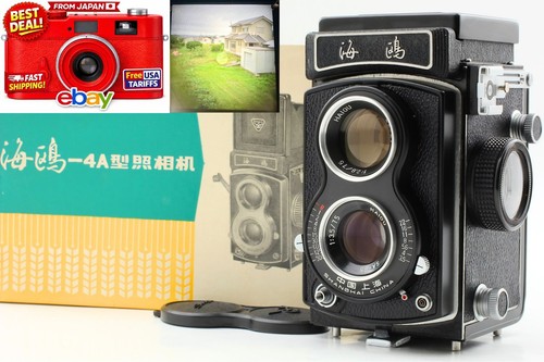 Top mint box seagull - w/box〗,