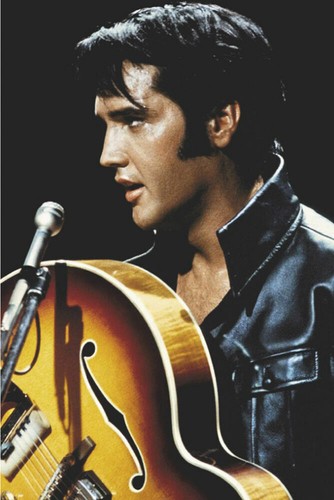 Elvis presley leather music - leather,