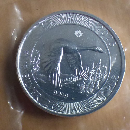 Canada goose 2025 silver - 10$,