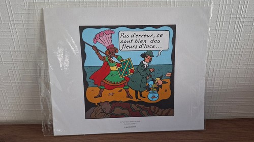 Herge tintin libris le - tintin,