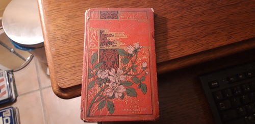 Magicienne la découverte - la,