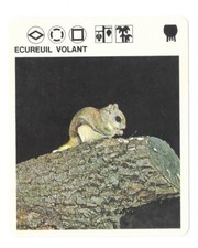 Fiche - Le livre de Paris - 1975 - Ecureuil volant
