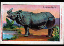 IMAGE ancienne BLEDINE / NATURE ANIMAL / RHINOCEROS