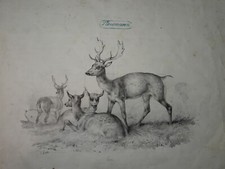 Victor ADAM (1801-1866) GRANDE