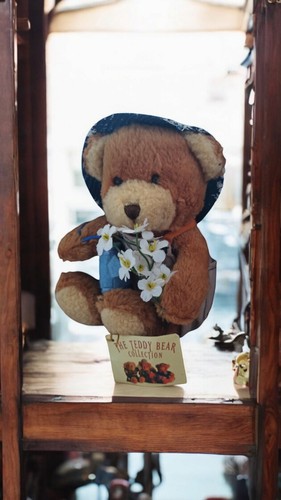 Peluche ours the teddy bear - ours,