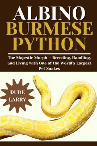 Dude larry albino burmese - dude,
