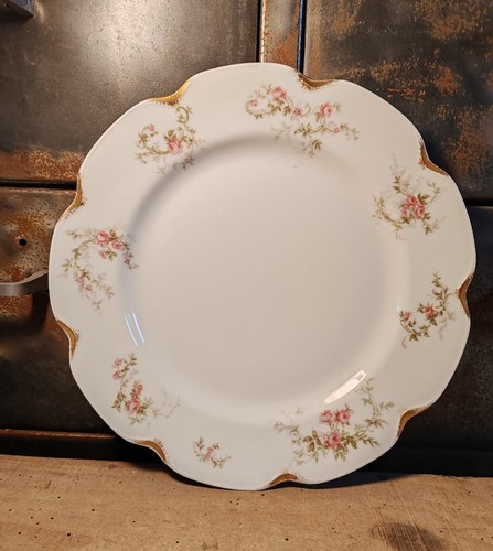 Assiette porcelaine limoges - assiette,