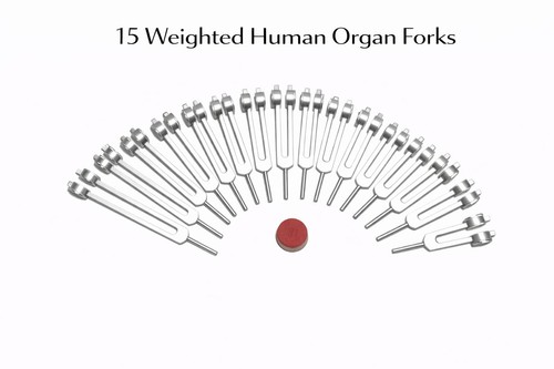 Pondéré humain orgue - pondéré,