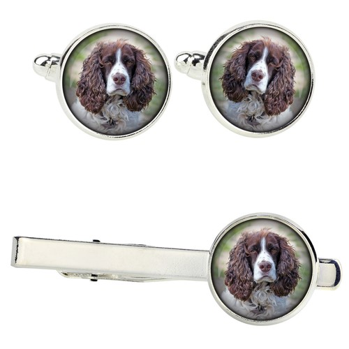 Ensemble springer anglais - de,