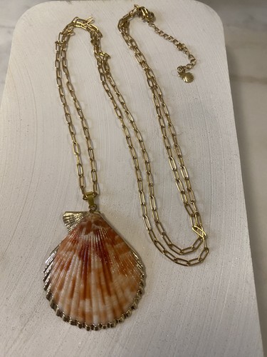 Collier pendentif coquillage