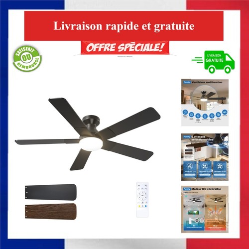 Passky ventilateur plafond - ventilateur,