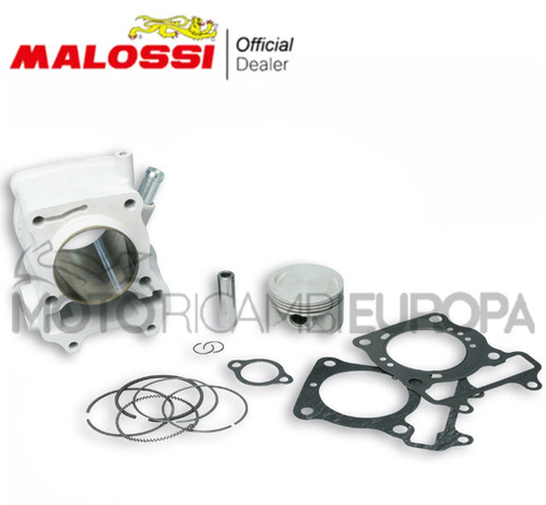 Malossi 3111588 groupe - malossi,